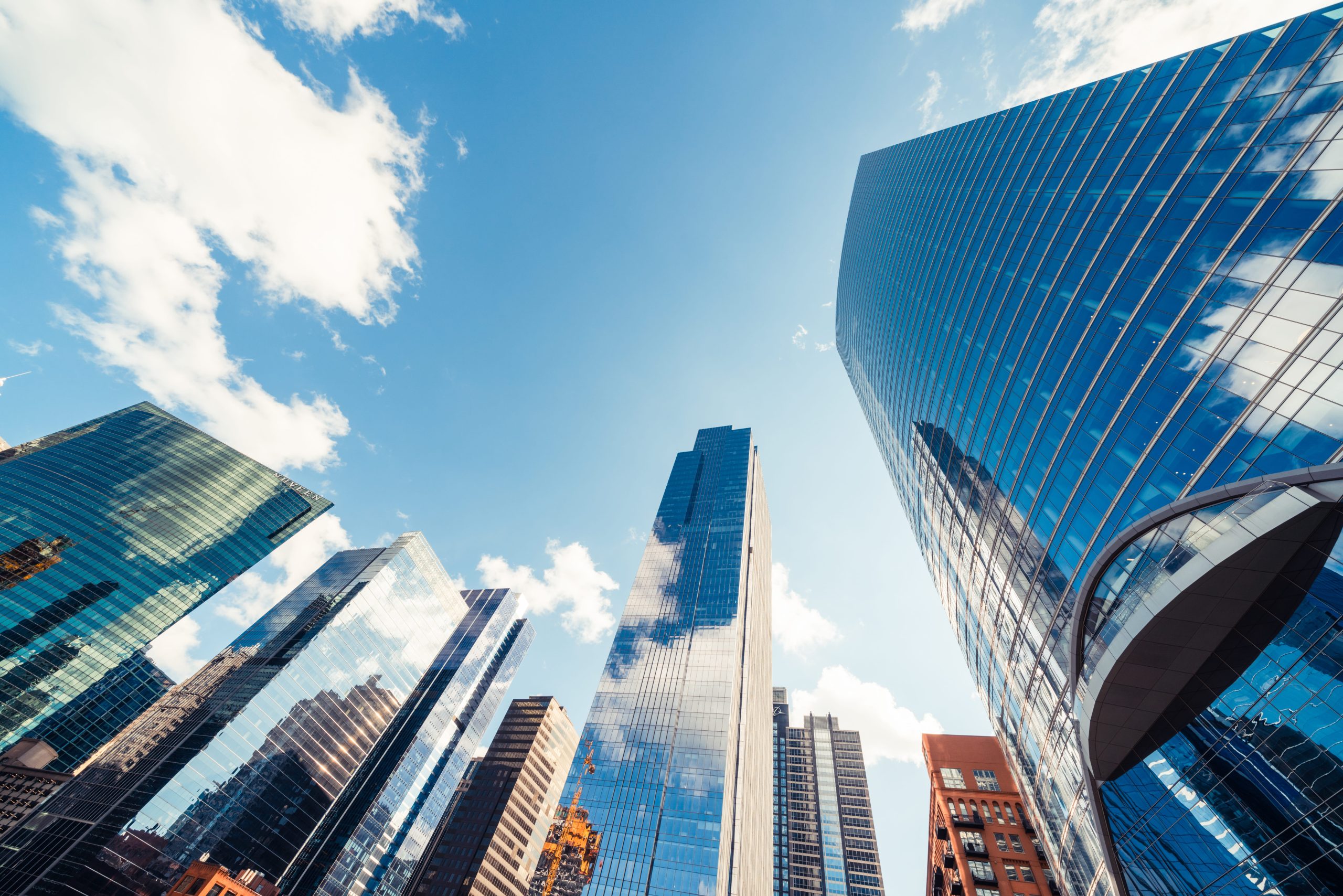 wolf-and-company-city-skyscrapers
